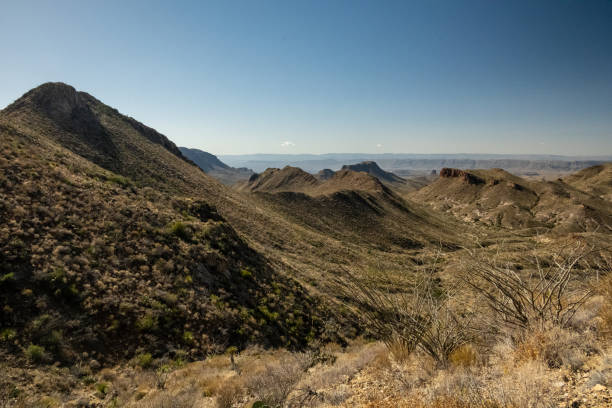 istock Ocotillo Look Out Over The Ridges Along Dodson Trail In Big Bend 1610735014