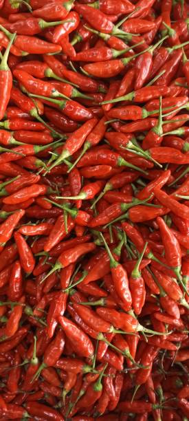 istock Red chili pepper ready to cook 1610748820