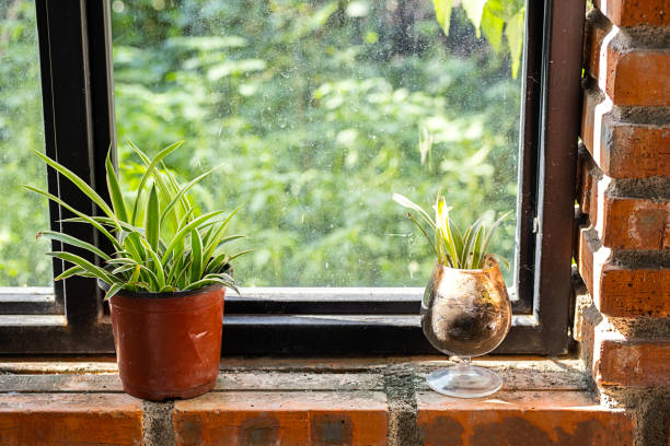 istock Use craked wineglass as flower pot. 1610808802