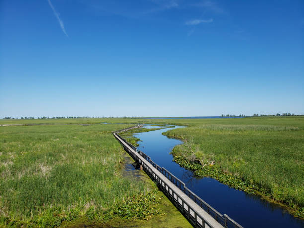 istock Point Pelee National Park 1610888753