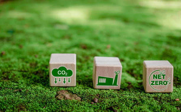 istock CO2 emission reduction concept, clean and friendly environment without carbon dioxide emissions. Planting trees to reduce CO2 emissions, environmental protection concept. 1610890358