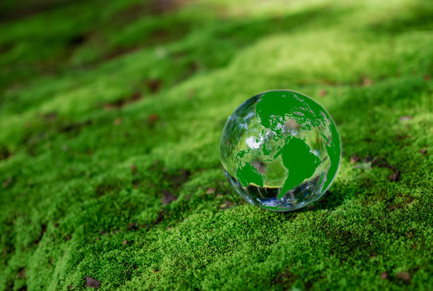 istock Crystal ball on moss in green forest. Environment concept Ecology and Sustainable Environment of the World. Earth day concept. 1610890361