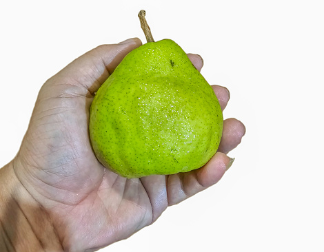 Isolated hand holding pear on white background