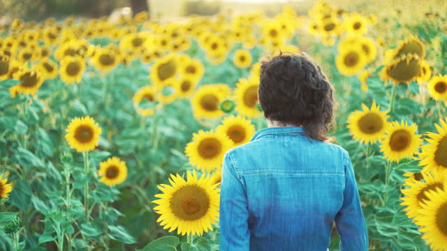 Beautiful young woman walking in a field with blooming sunflowers