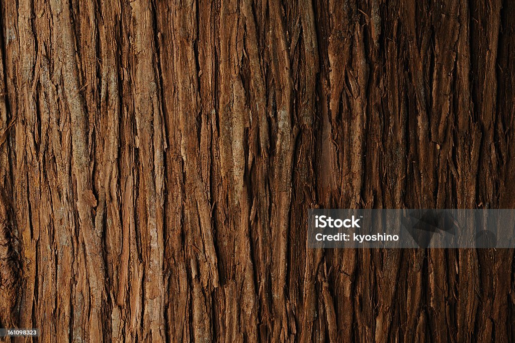 Bark de cedro textura de fondo - Foto de stock de Con textura libre de derechos