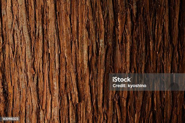 Bark Of Cedar Tree Texture Background Stock Photo - Download Image Now - Textured, Wood - Material, Woodland