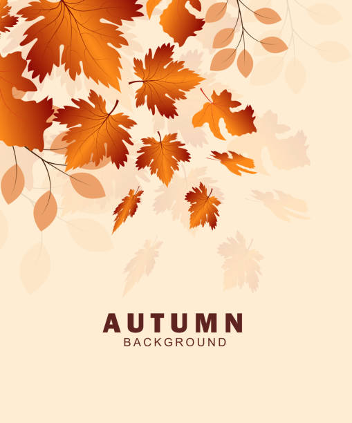 ilustrações de stock, clip art, desenhos animados e ícones de autumn leaves background - vertical drop