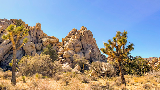 Desert Hot Springs, located in Southern California, is known for its large rock formations.  Many travel to this area to view the many different rock sculptures.