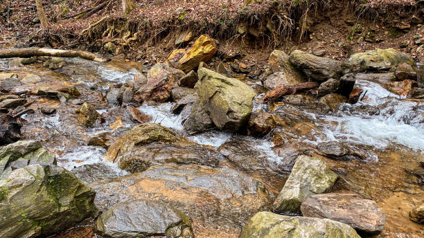 Amicalola State Park is a much visited park. Many come to spend a day around the wonderful waterfall and waterways of this park.