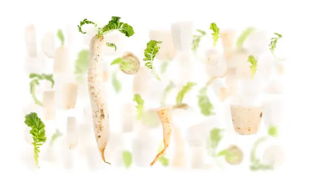 Abstract background made of Parsley root vegetable pieces, slices and leaves isolated on white.