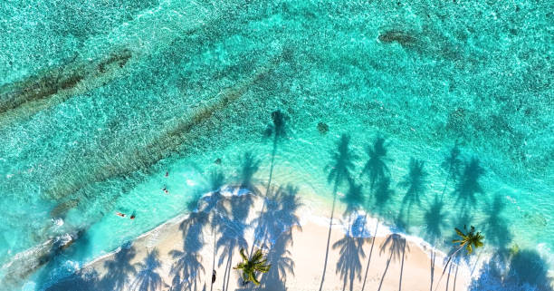 istock Summer palm tree  and Tropical beach with blue  sky background 1611285360