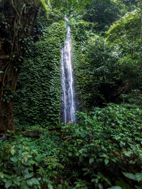 istock Beautiful landscape of waterfall 1611290140