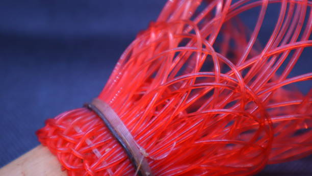 istock Lush Red Contrast Against Black. 1611303492