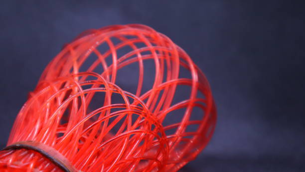 istock Lush Red Contrast Against Black. 1611303677