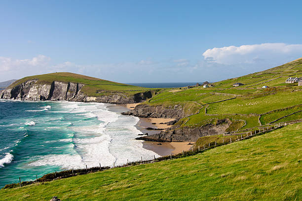 Cliffs on Dingle Peninsula, Ireland Scenic landscape by sea on Dingle Peninsula in Ireland dingle bay stock pictures, royalty-free photos & images