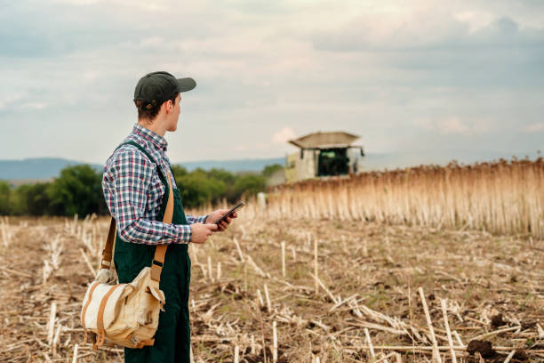 istock Young male farmer working with tablet during sunflower harvest 1611313145