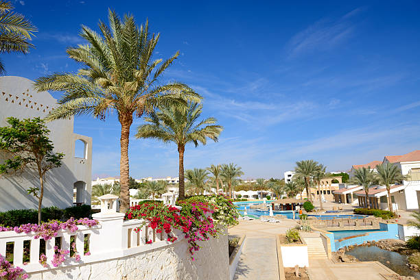 istock The swimming pool at luxury hotel, Sharm el Sheikh, Egypt 161131321