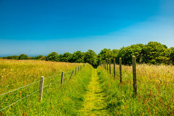 istock Beautiful discovery tour through the unique Normandy countryside 1611350989