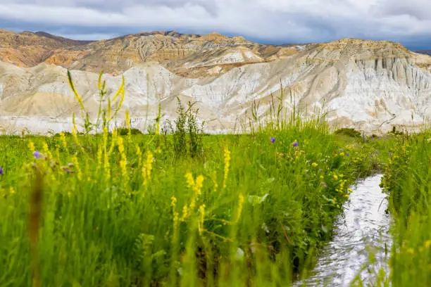 Beautiful Green fields with small creek and mountains in Lho Manthang of Nepal