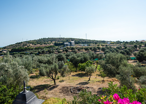 Refugee tents in an olive grove at Kara Tepe camp near Mytilene, Lesbos, Greece. The camp was established for refugees transiting through Lesbos on their way from Turkey (and before that other countries) to the heart of Europe.