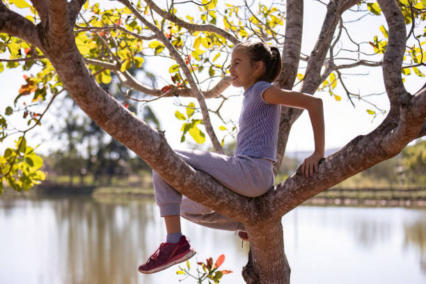 istock girl in gray clothes playing in a tree 1611390207