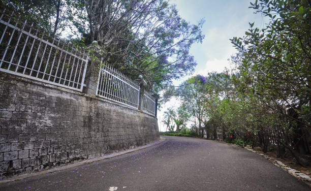 istock Street in Dalat, Vietnam 1611409340