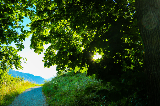 On the Tegernsee by bike, traveling by bike, wallberg; germany; tegernsee; panorama; travel; landscape; alps; mountain; scenic; nature; beautiful; mountains; sky; bavaria; outdoor; tourism; colorful; view; scenery; rottach-egern; europe; background; rock; peak; tegernsee; holiday; alpine; day; adventure; blue; panorama; top; parachute; famous; outdoors; hiking; paragliders; sport; garden; fly; people