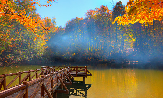 Autumn forest landscape reflection on the water with wooden pier - Autumn landscape in (seven lakes) Yedigoller Park Bolu, Turkey
