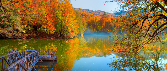 Autumn forest landscape reflection on the water with wooden pier - Autumn landscape in (seven lakes) Yedigoller Park Bolu, Turkey