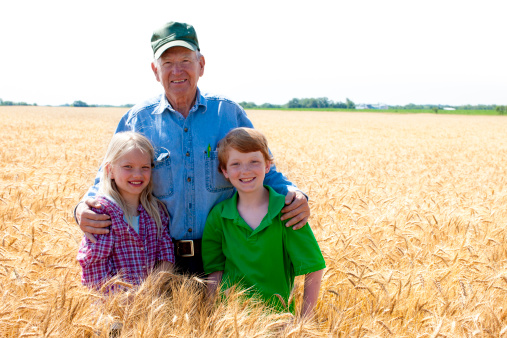 A proud midwestern grandfather farmer stands with his grandchildren in a field of wheat, ready to harvest, on the family farm that will someday belong to them. Vast expanse of fertile open farmland spreads out beyond. Scene  represents 
