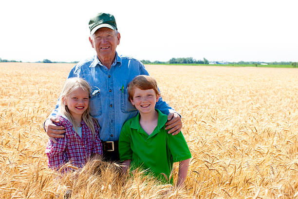 Grandfather Farmer Stands with Grandchildren in Wheat Field Fami A proud midwestern grandfather farmer stands with his grandchildren in a field of wheat, ready to harvest, on the family farm that will someday belong to them. Vast expanse of fertile open farmland spreads out beyond. Scene represents "down home" family values and Americana at its best. rural main street stock pictures, royalty-free photos & images