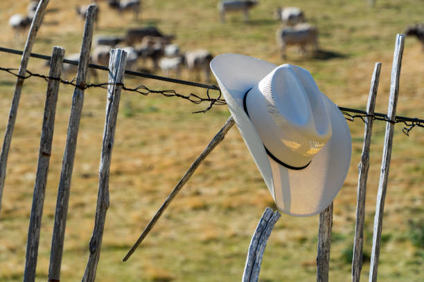 istock Cowboy hat on a wooden fence 1611456478