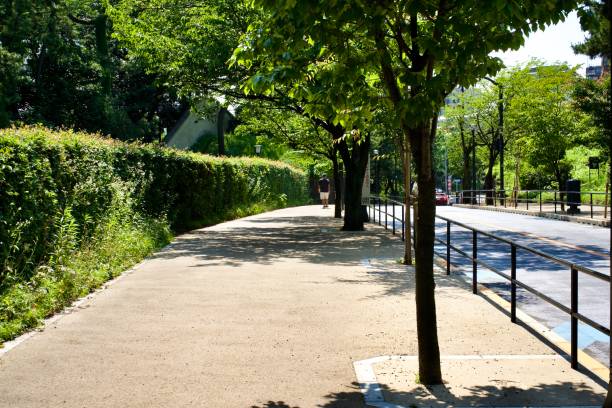 istock Scenery of running course around the Imperial Palace 1611507976