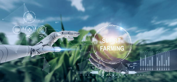 istock Smart farming ,agriculture concept, human hand about to touch robot hand integrate artificial intelligence combine deep, machine learning, digital twin, 5G, industry 4.0 technology. 3D rendering AI. 1611517603