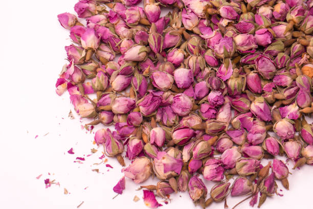 istock Dry tea roses isolated on white background. 1611530606