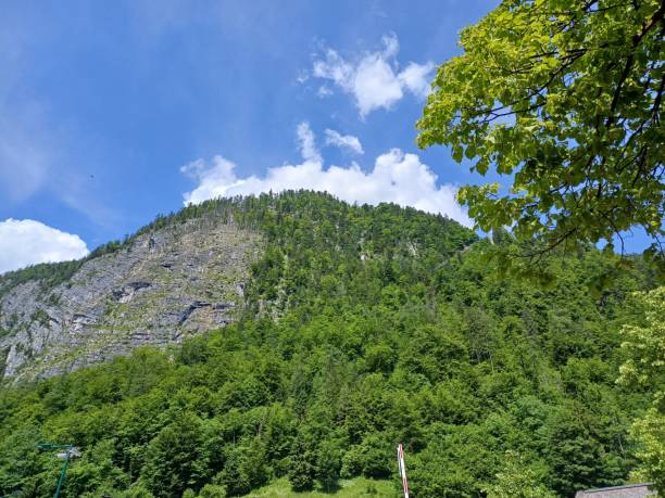 istock Mountain, trees and blue sky clouds in Hallstatt town, Austria. 1611536639