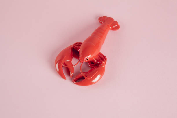 istock a red lobster on a pink background 1611566034