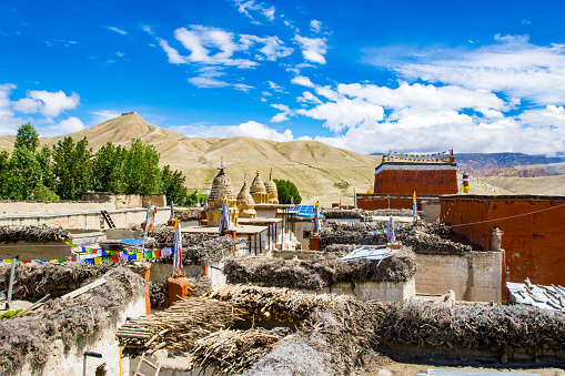 Amazing Rooftop View of Lo Manthang with Traditional Houses and Monasteries in Upper mustang, Nepal