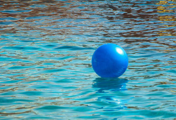 Free picture: swimming pool, colorful, balloon, water, reflection ...