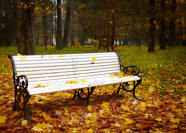 istock Bench in the autumn park. 161161336