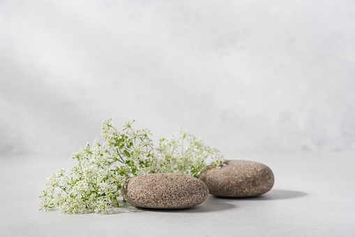 Pebble stone cosmetics podium surrounded by delicate white flowers on light background