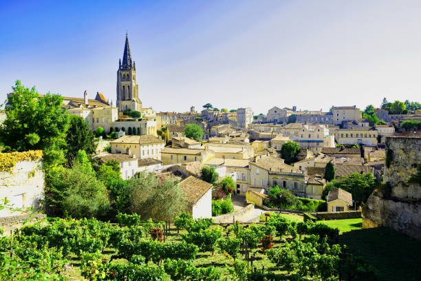 istock Aerial panorama of St Emilion. 1611659084