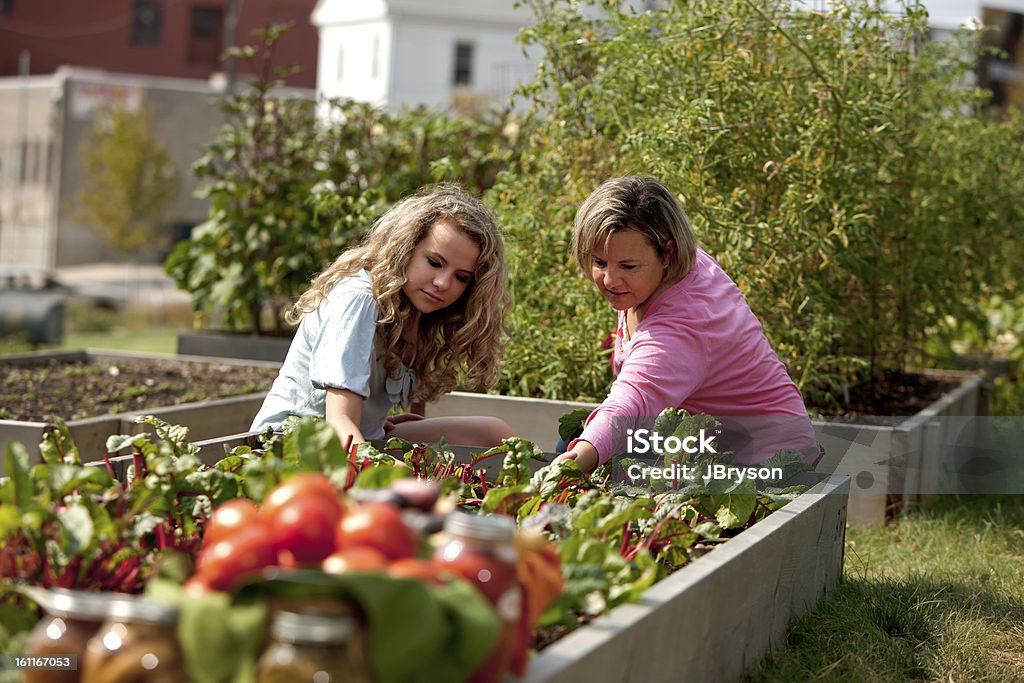 Estilo de vida saludable: Caucásica madre hija recolección Homegrown verduras y productos - Foto de stock de Adolescente libre de derechos