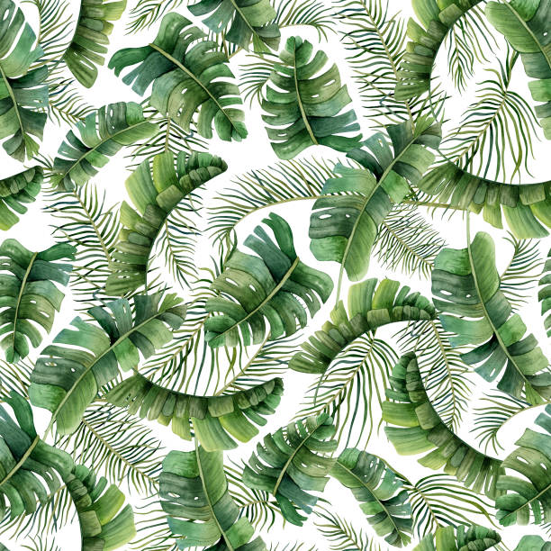 istock Watercolor tropical palm leaves watercolor seamless pattern on white background with green jungle plants, date palm tree, monstera and banana leaves for prints, fabric or wallpapers 1611707052