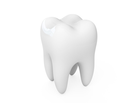 3d render of isolated human tooth on white background
