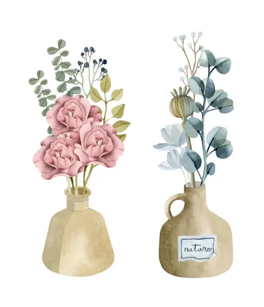 Vector illustration of Ceramic vases rose and eucalyptus bouquets isolated watercolor elements