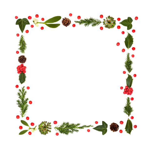istock Christmas Winter Flora and Holly Berry Frame 1611739690