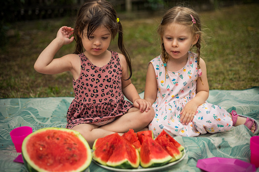 Two girls sitting on the blanket in the yard, and choosing the piece of overripe watermelon.