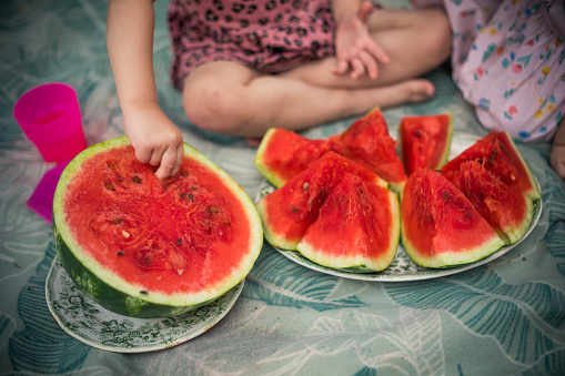 The watermelon and girls are on the picnic blanket. The girl is taking out the seed from the watermelon.