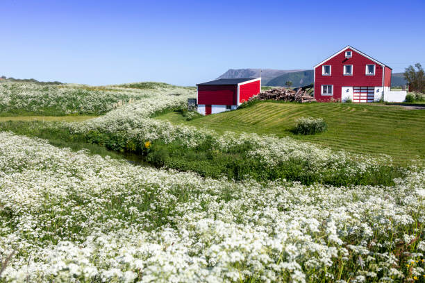 istock red house and flowers 1611763518